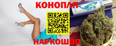 гашик Кузнецк