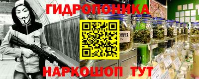 гашик Кузнецк