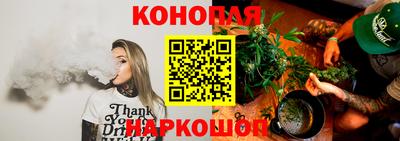 гашик Кузнецк
