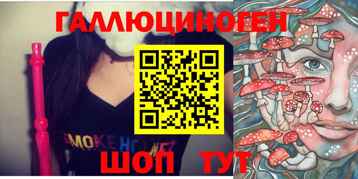 Курчалой  Псилоцибиновые грибы Psilocybine cubensis  Вход с VPN  Галлюциногенные грибы Psilocybe 